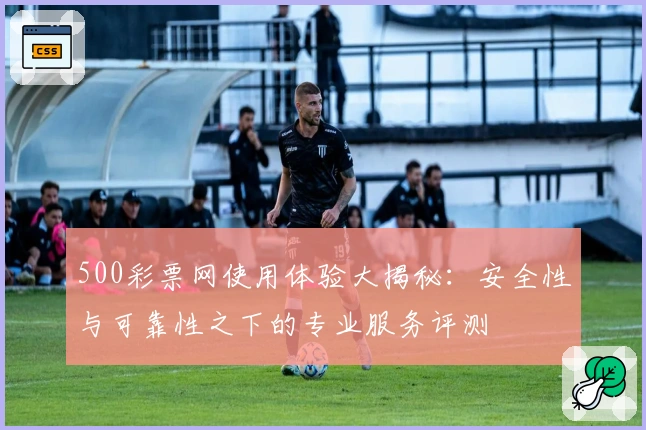500彩票网使用体验大揭秘：安全性与可靠性之下的专业服务评测