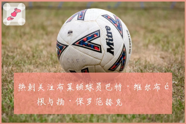 热刺关注布莱顿球员巴特·维尔布鲁根与扬·保罗范赫克
